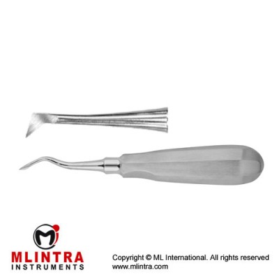 Cryer Root Elevator Fig. 21 - Mini Stainless Steel,